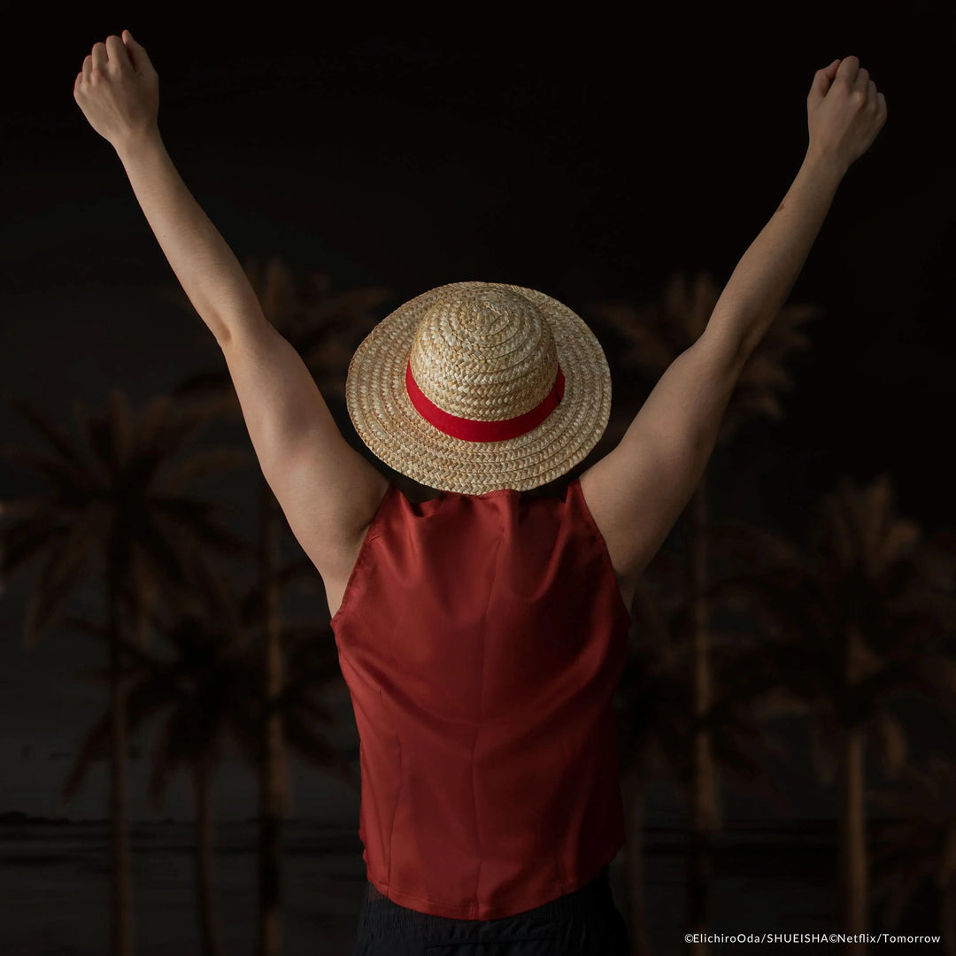 Luffy Straw Hat CR1394
