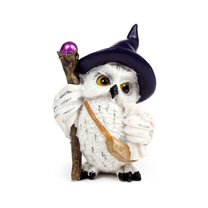 Wise Old Magical Owl on a Magical Journey OWL53