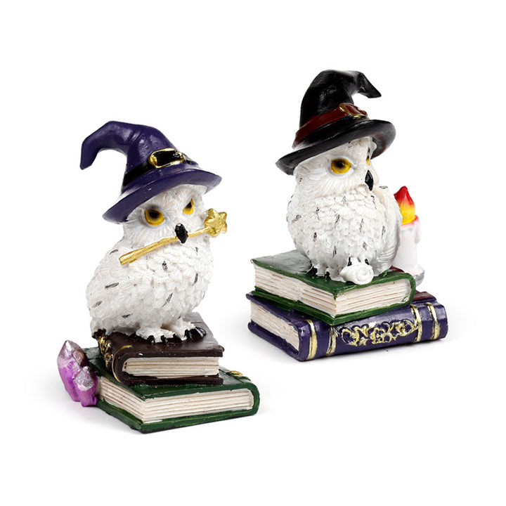 Wise Old Magical Owl on Spell Books OWL54