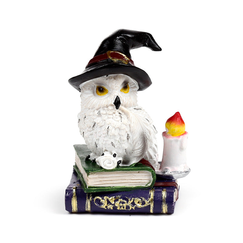 Wise Old Magical Owl on Spell Books OWL54