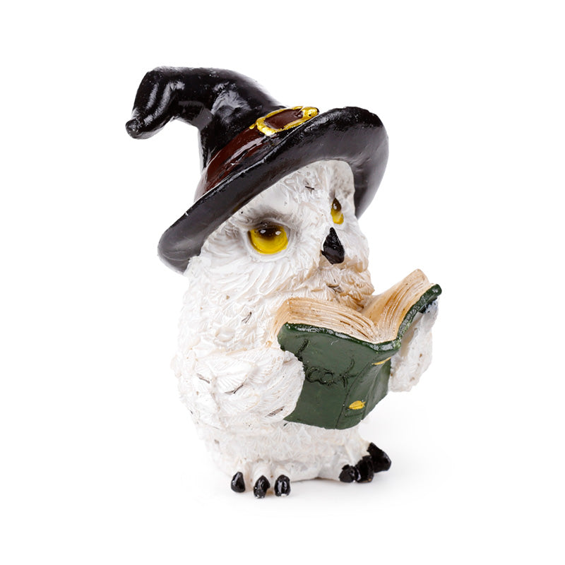 Wise Old Magical Owl Enchanted Apprentice OWL57