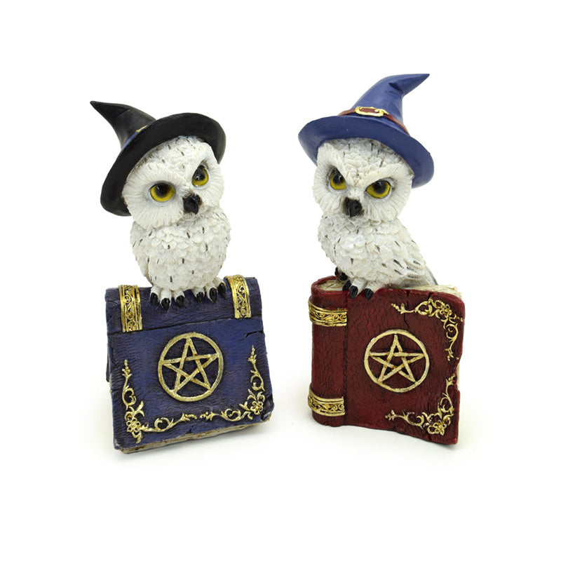 Wise Old Magical Owl with Witches Spell Book OWL59