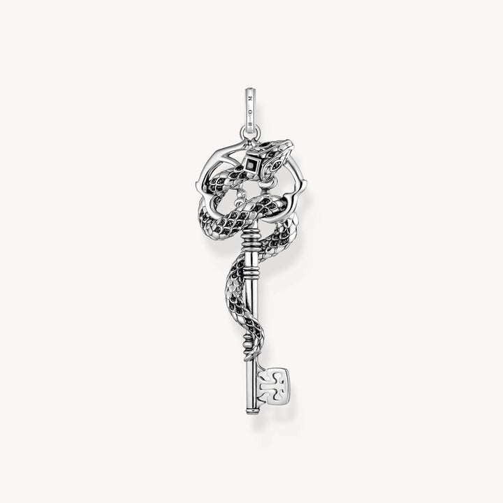 Sterling Silver Black Stones Snake Pendant PE983-691-11