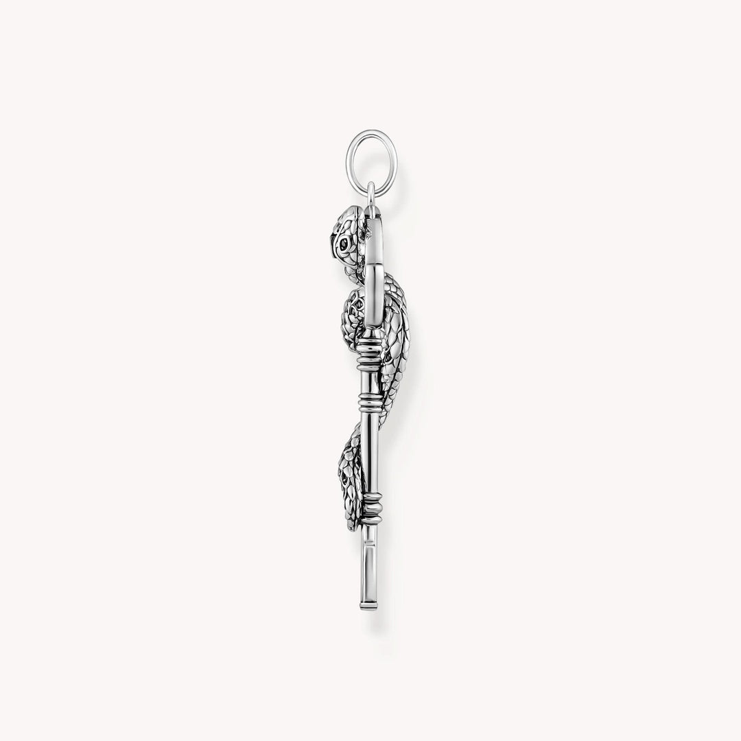 Sterling Silver Black Stones Snake Pendant PE983-691-11