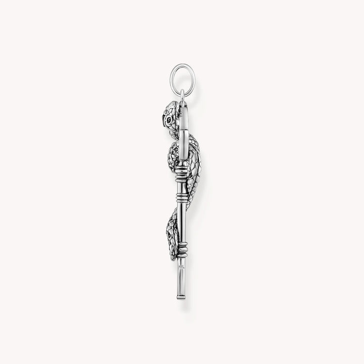 Sterling Silver Black Stones Snake Pendant PE983-691-11