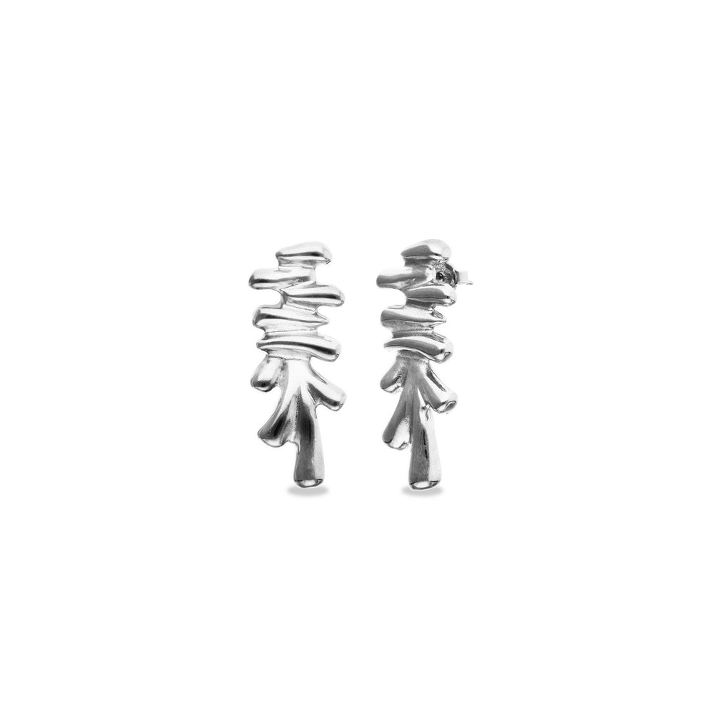Sterling Silver Plated Irregular Shapes Earrings PEN1070MTL000
