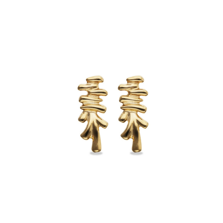 18K Gold Plated Irregular Shapes Earrings PEN1070ORO000