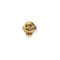 Metal Alloy Gold 18K Plated Skull Single Earring PIE0017ORO000