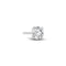 14k White Gold Venice Medio Single Diamond Earring SJ-E2502-WD-WG-1 featuring a stunning 0.25 ct round brilliant cut lab-grown diamond, perfect for an elegant look.