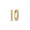 Elegant 14k Yellow Gold Alba Piccolo Diamond Earrings SJ-E2510-WD-YG featuring a polished finish and adorned with lab-grown diamonds, perfect for adding a touch of luxury to any outfit.