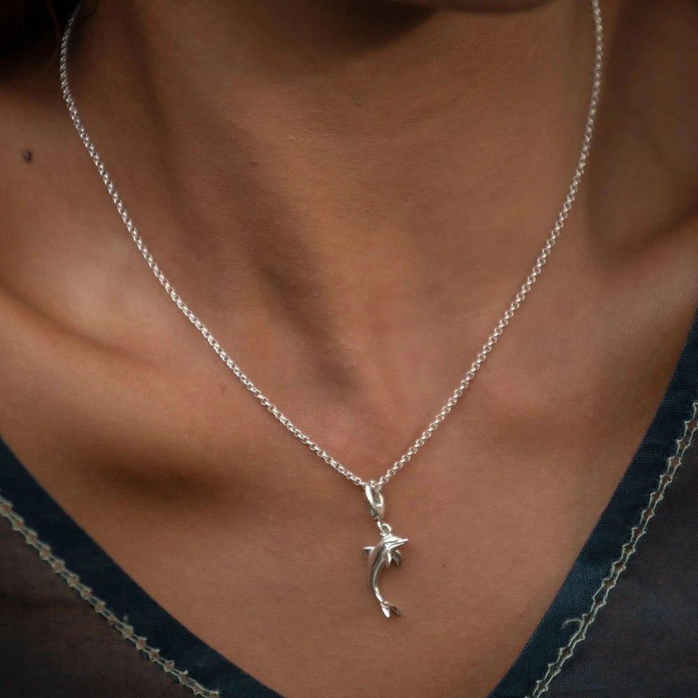 Silver Dolphin Charm CSDP