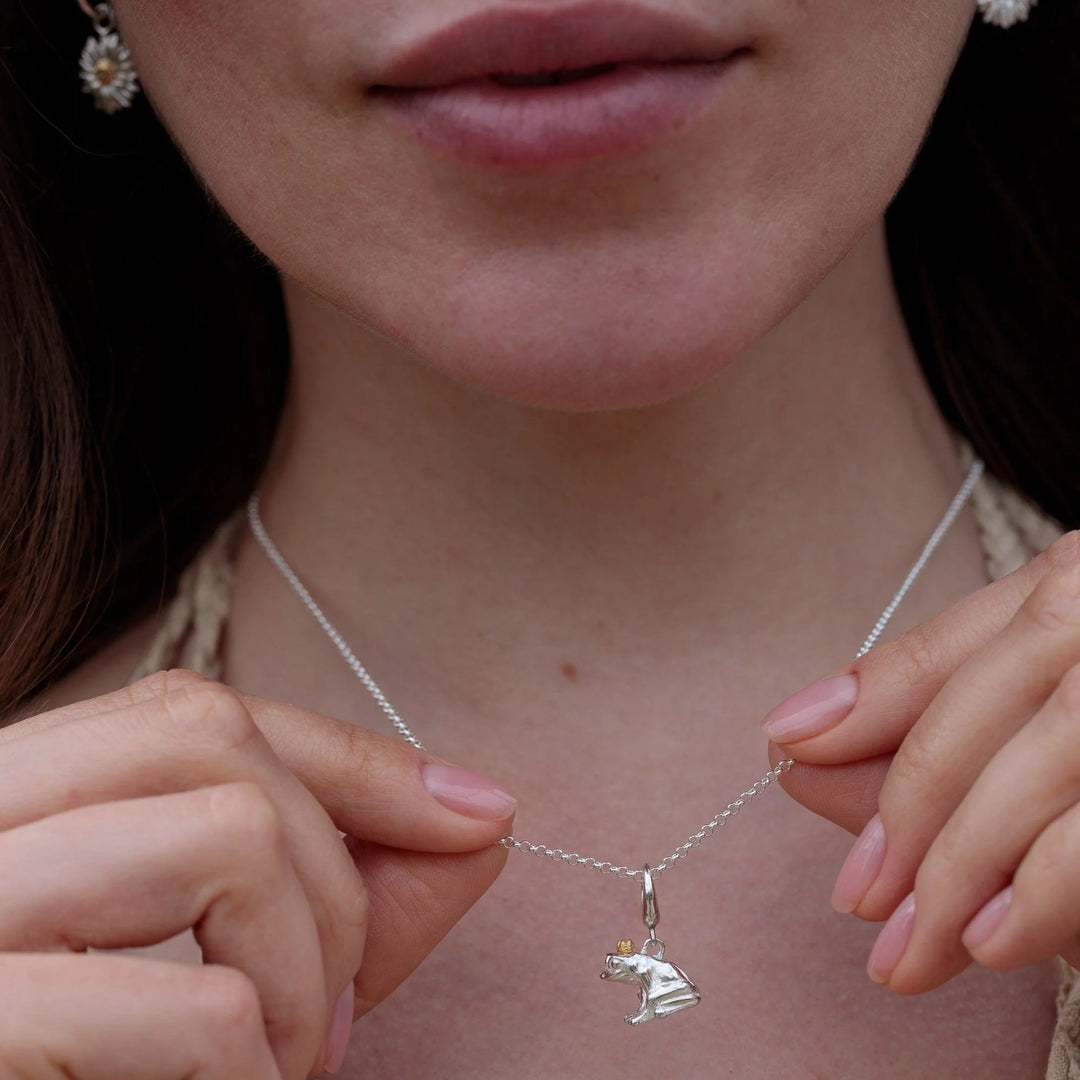 Silver Frog Necklace CNSFR-1