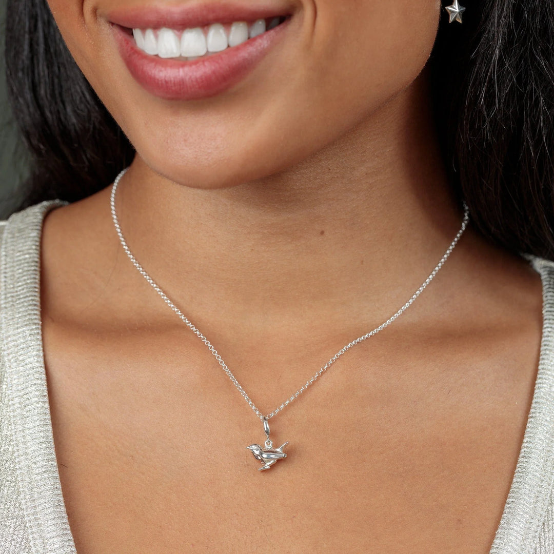 Silver Robin Bird Necklace CNSROB-1