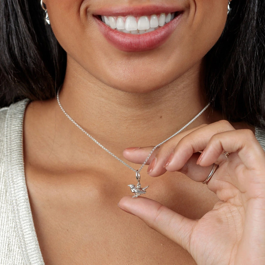 Silver Robin Bird Necklace CNSROB-1