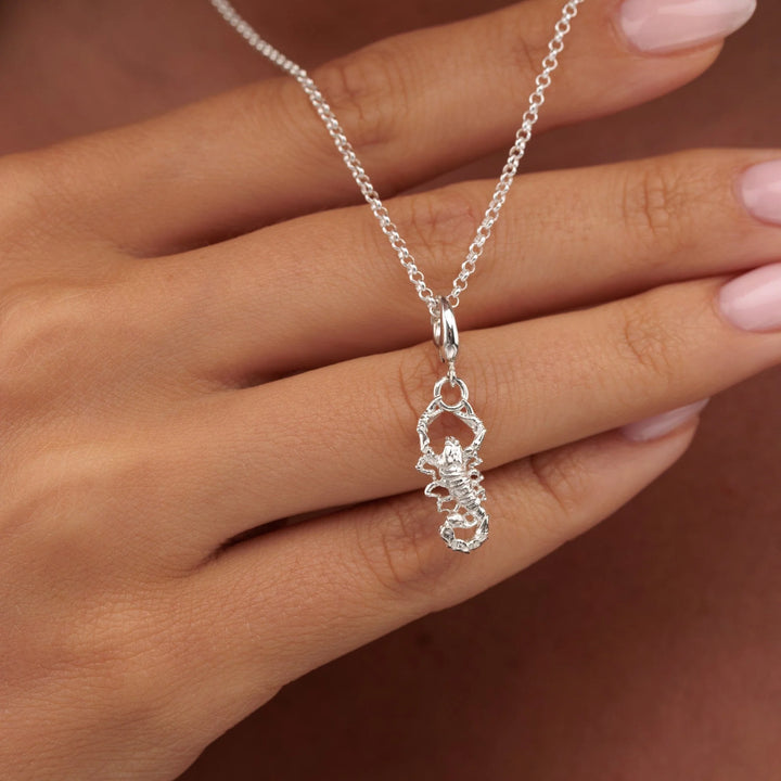 Silver Scorpion Necklace CNSPION-3
