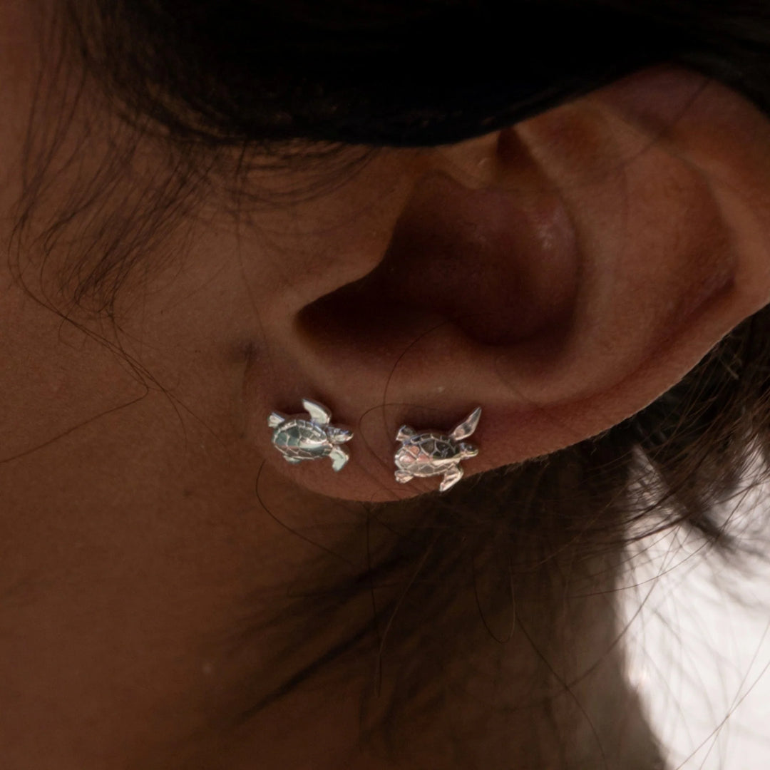 Silver Turtle Stud Earrings SESTU