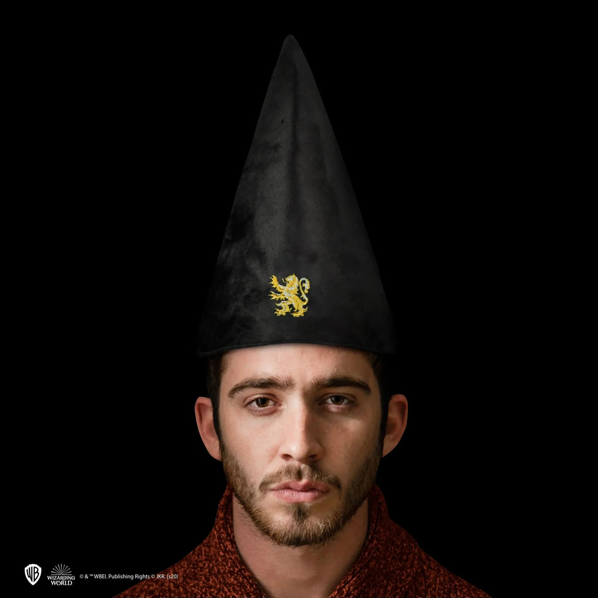 Harry Potter Student Hat - Gryffindor CR1341