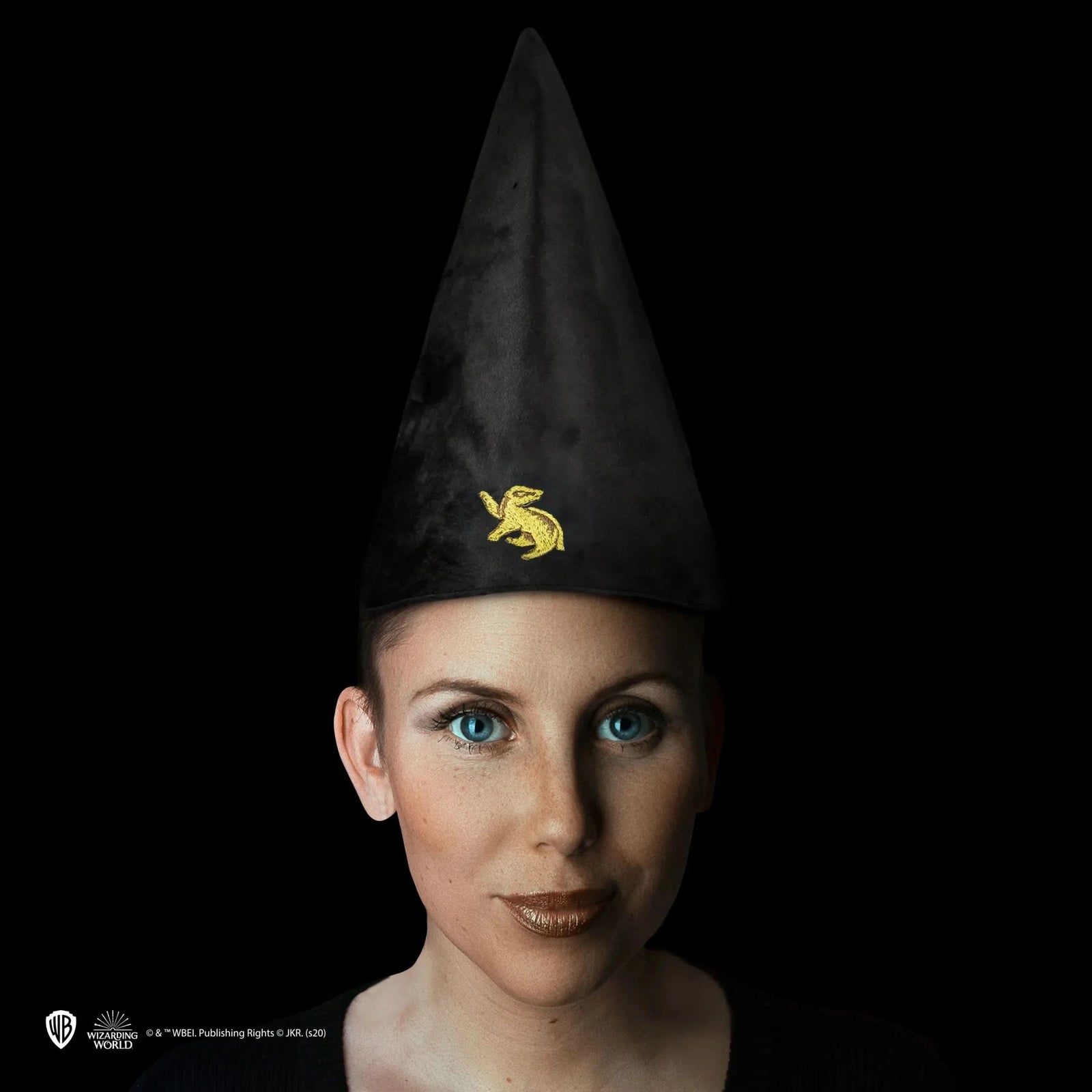 Harry Potter Student Hat - Hufflepuff CR1344