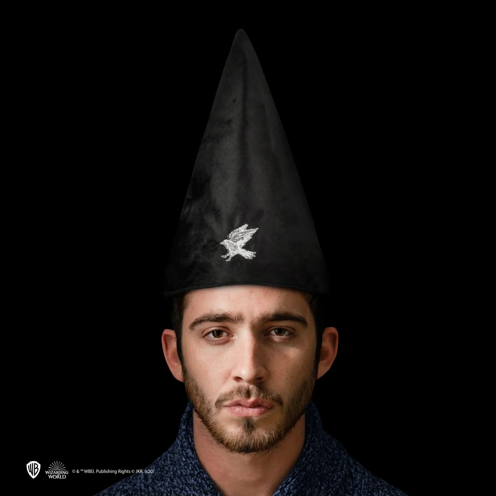 Harry Potter Student Hat - Ravenclaw CR1343