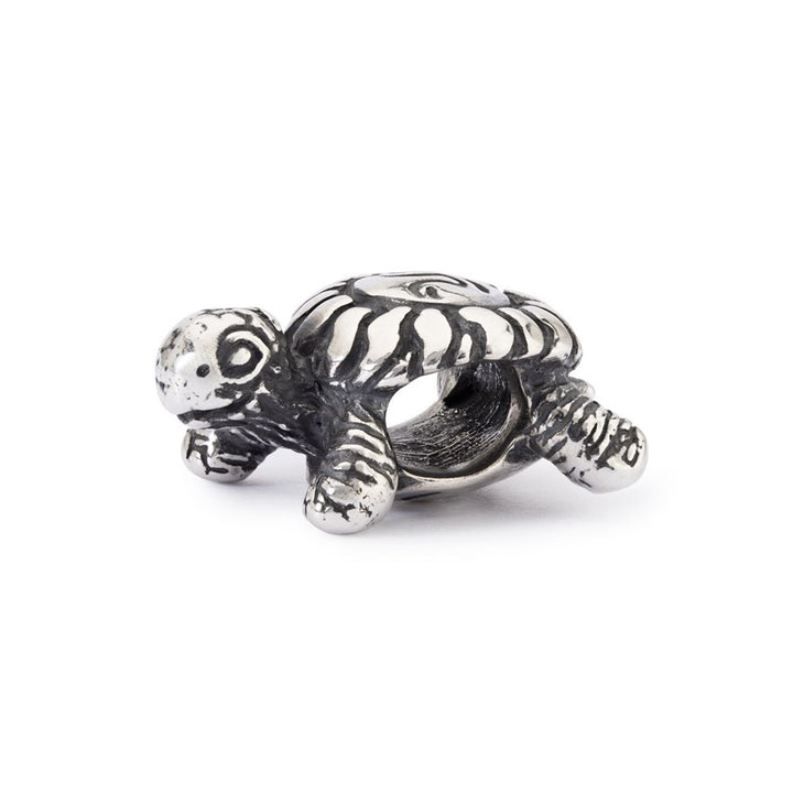 Silver turtle charm on a white background