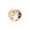 Gold charm with a yin yang design on a white background
