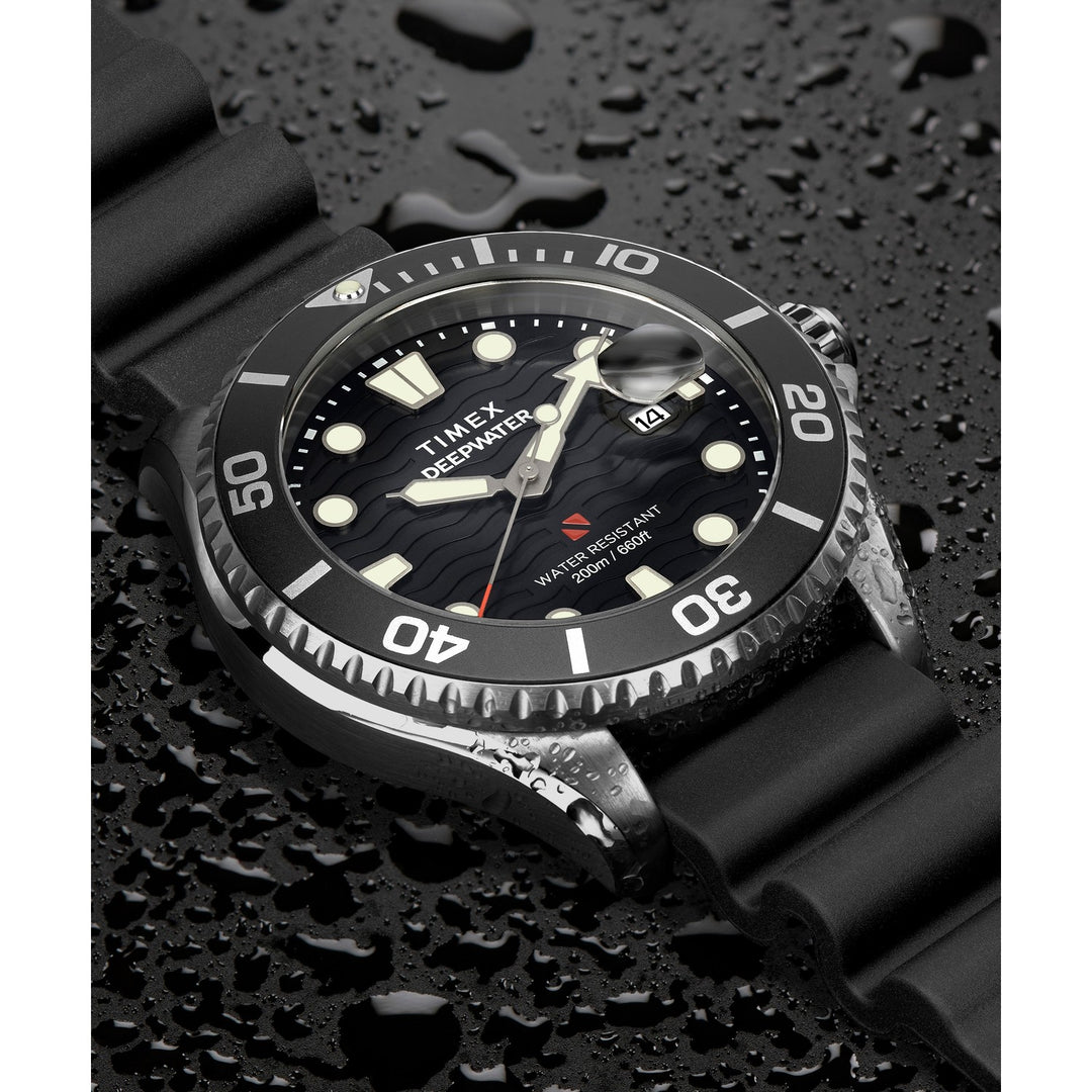 Gents Deep Water Meridian Stainless Steel Watch TW2W81600