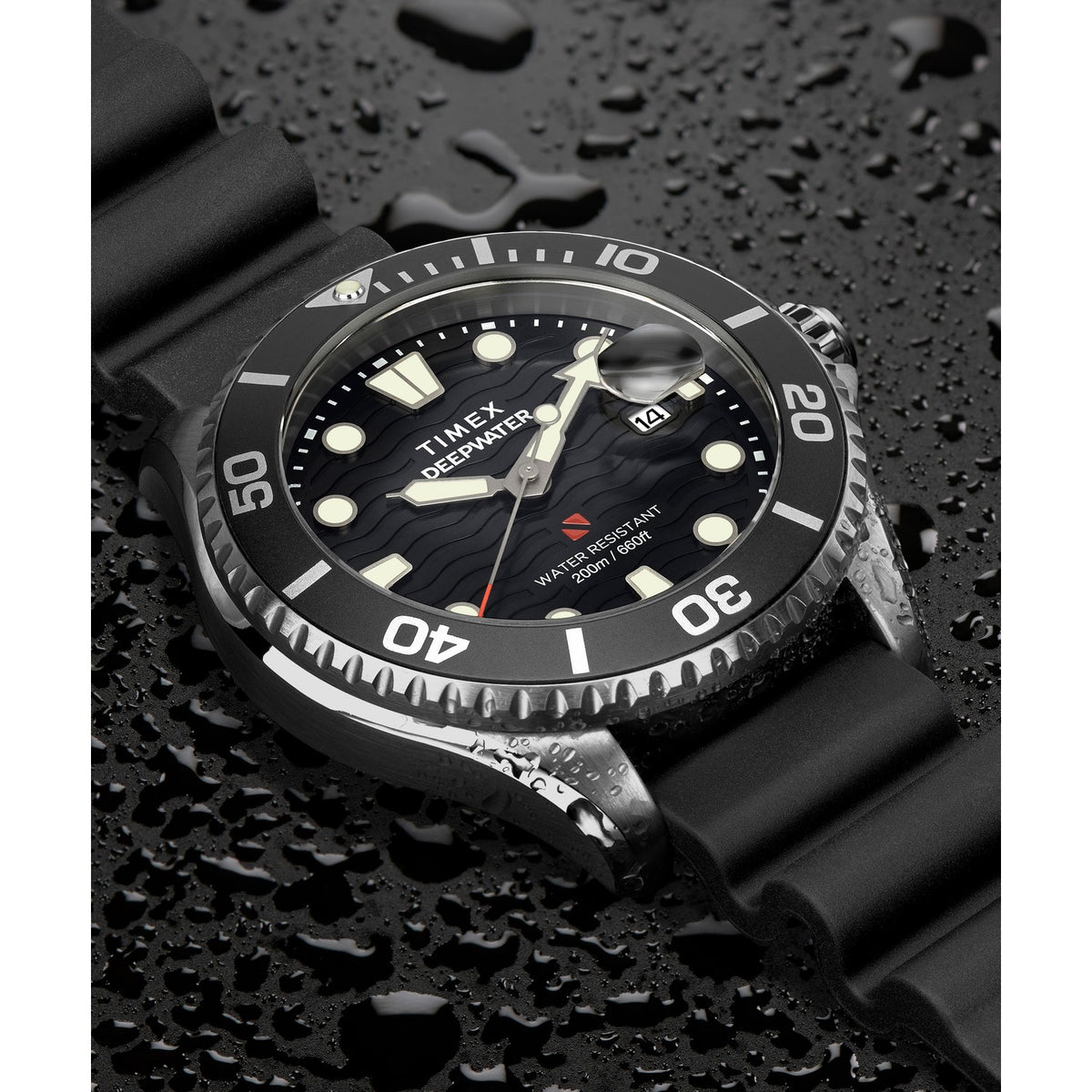 Gents Deep Water Meridian Stainless Steel Watch TW2W81600
