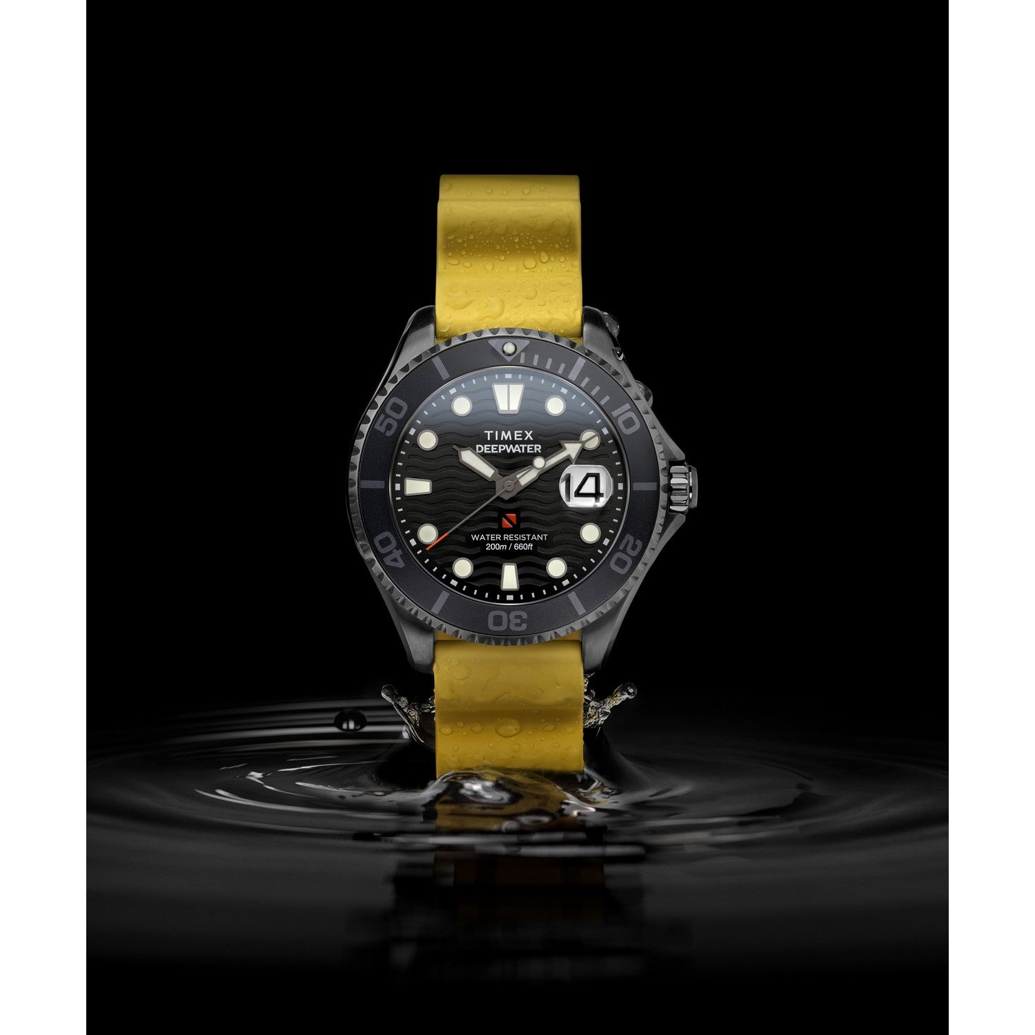 Gents Deep Water Meridian Gunmetal Watch TW2W81700