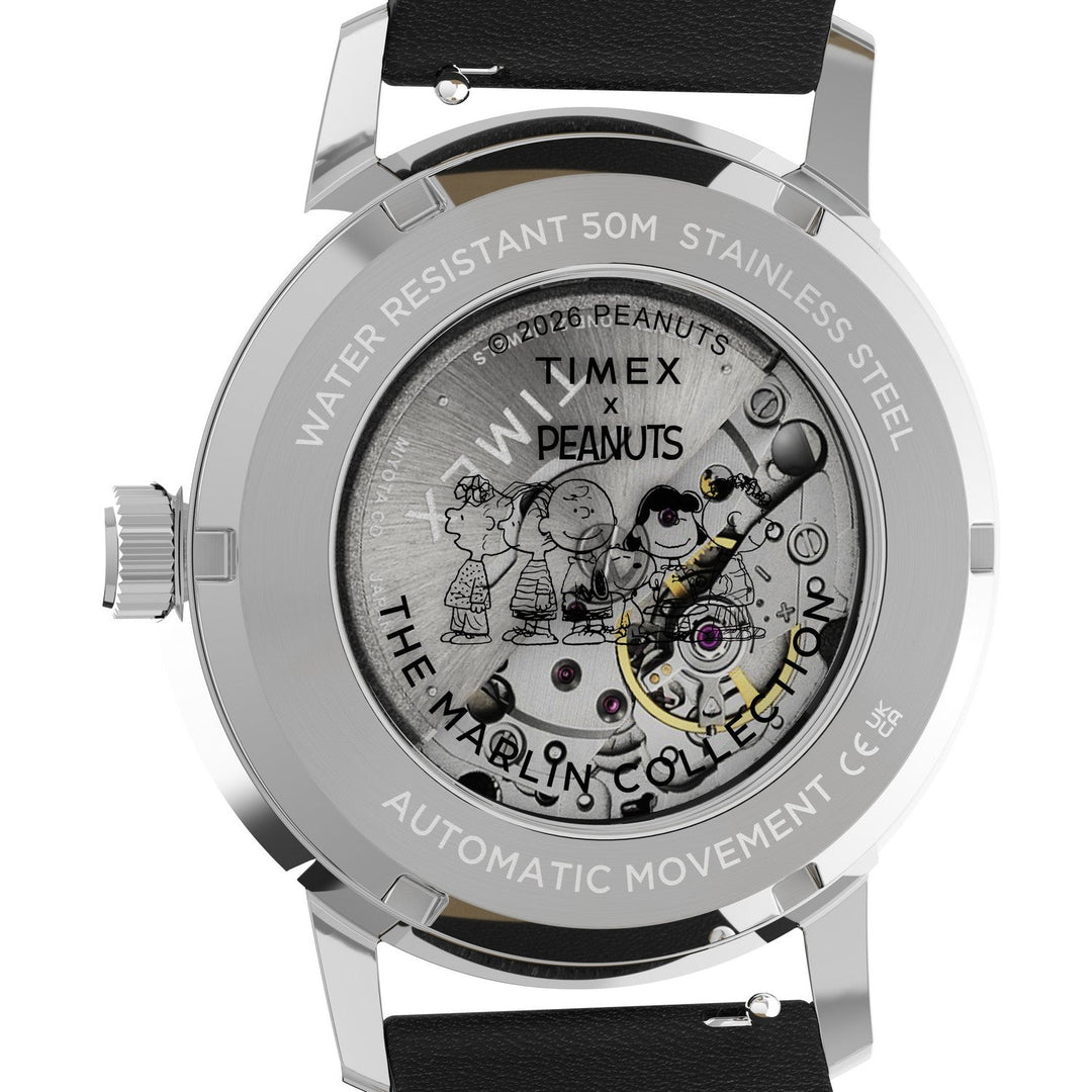 Timex Mens Peanuts Stainless Steel Silver-Tone Dial Watch TW2Y53800