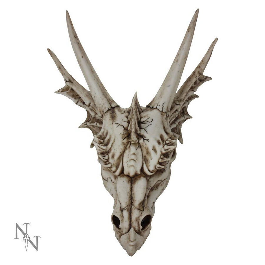 The Last Dragon Skull Realistic Reptile Skeleton Head U2473G6