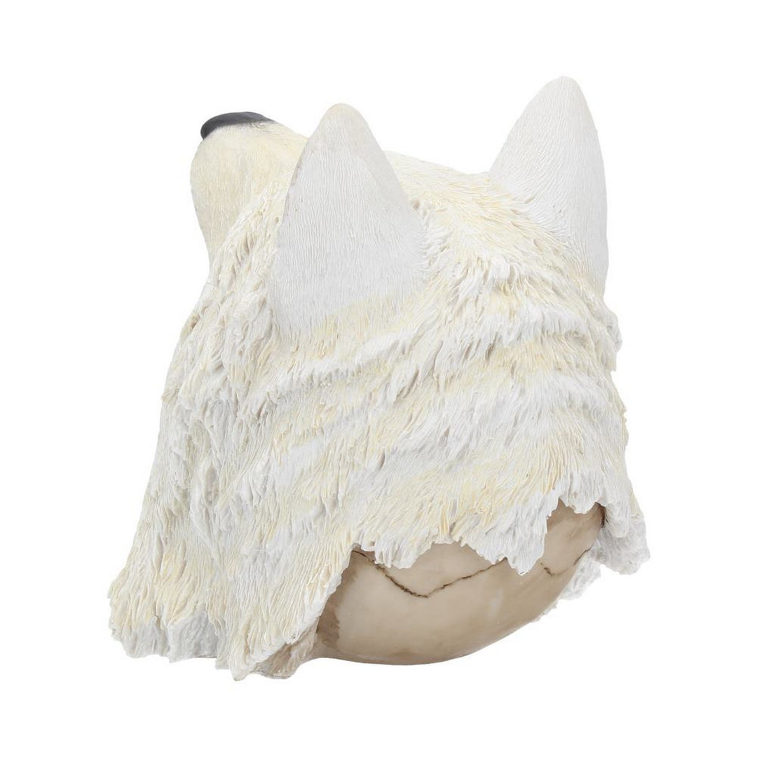 Night Wolf Skull 15.6cm U3534J7