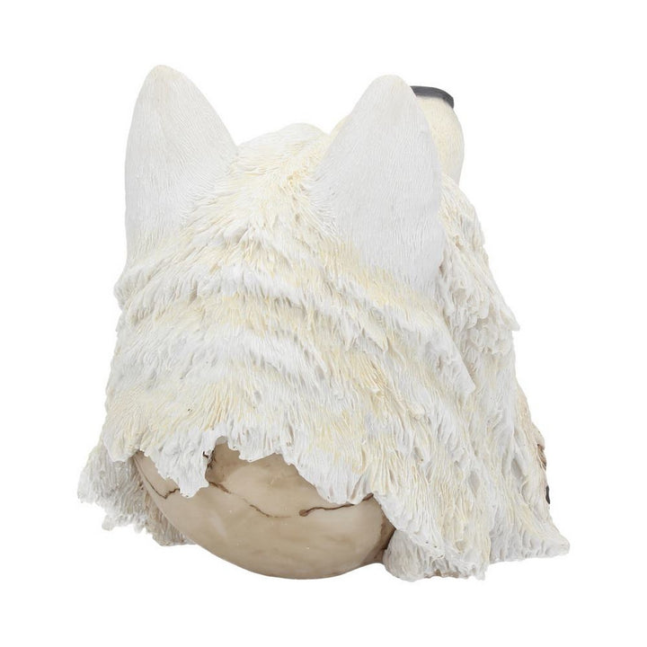 Night Wolf Skull 15.6cm U3534J7