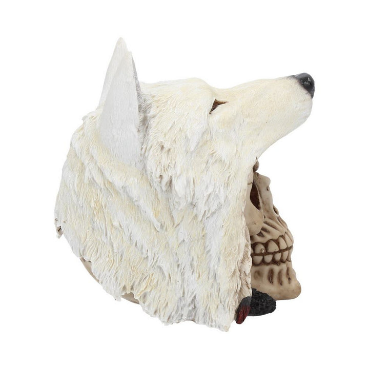 Night Wolf Skull 15.6cm U3534J7