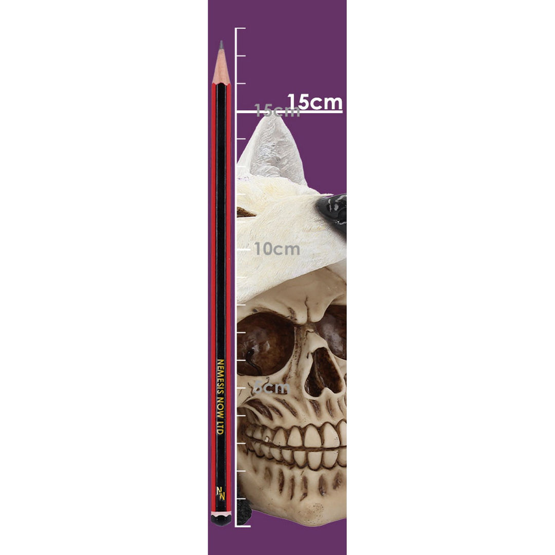Night Wolf Skull 15.6cm U3534J7