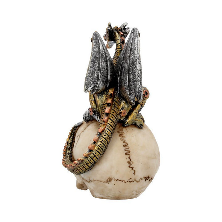 Dragon's Grasp Steampunk Skull and Dragon 18.5cm U3748K8