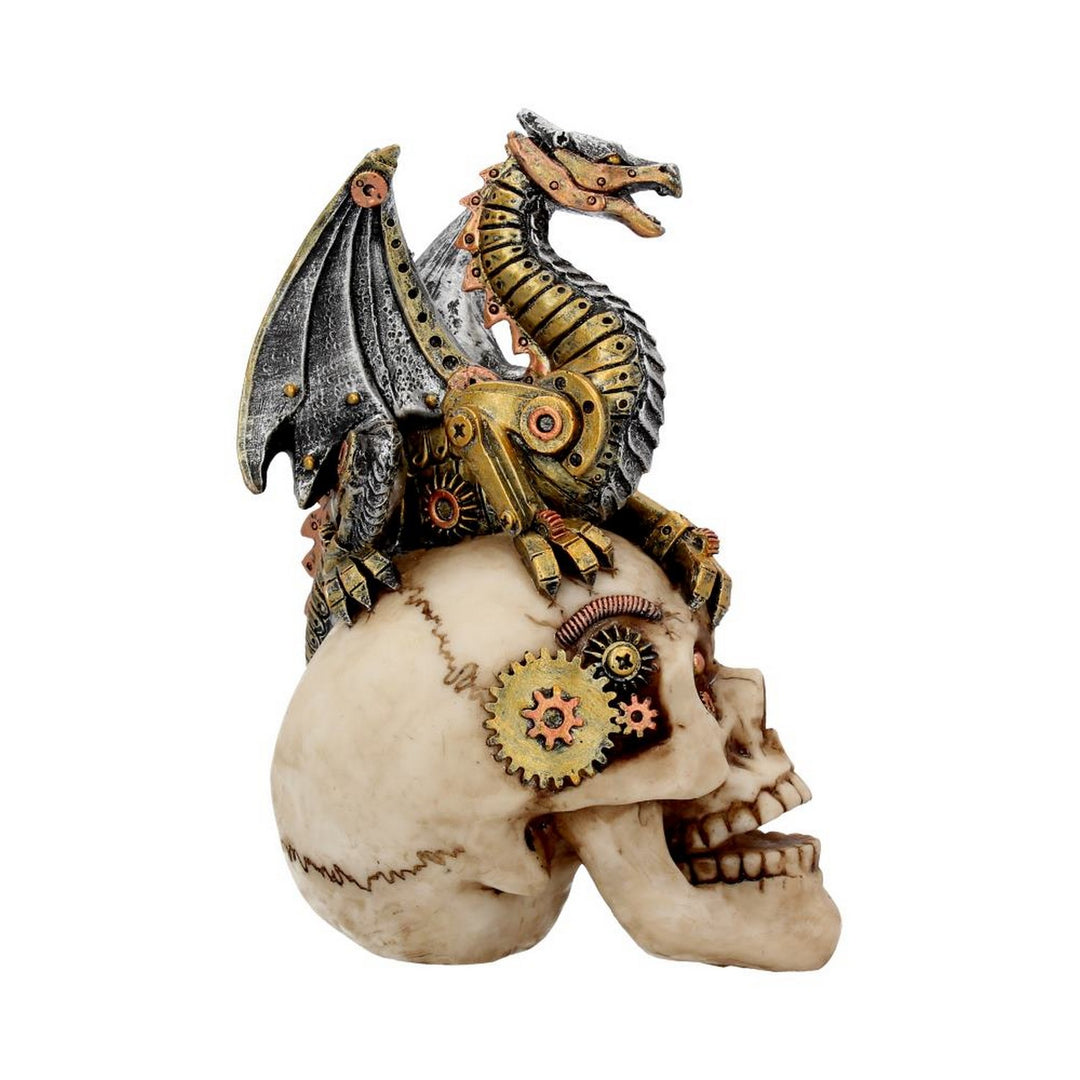 Dragon's Grasp Steampunk Skull and Dragon 18.5cm U3748K8