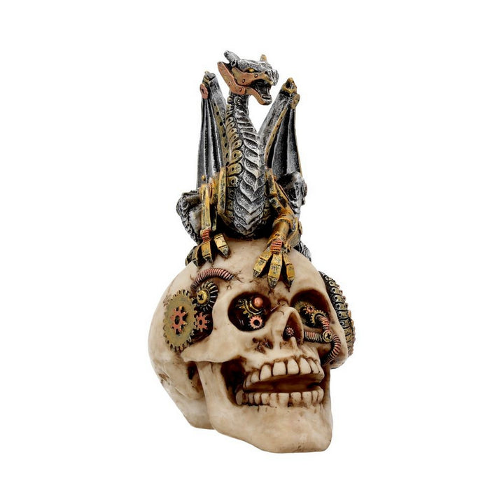 Dragon's Grasp Steampunk Skull and Dragon 18.5cm U3748K8