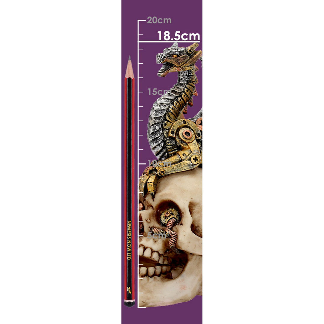 Dragon's Grasp Steampunk Skull and Dragon 18.5cm U3748K8