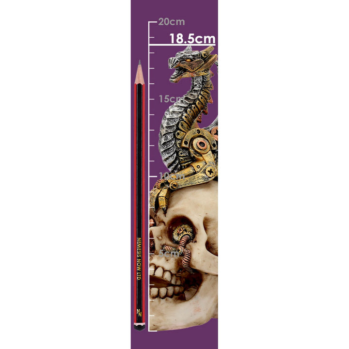 Dragon's Grasp Steampunk Skull and Dragon 18.5cm U3748K8