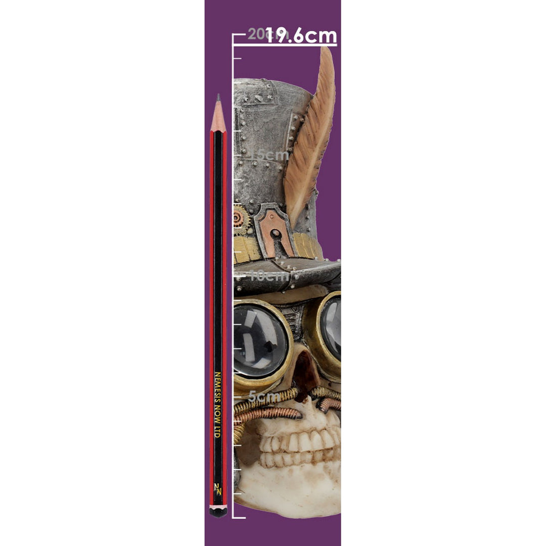 Count Archibald Steampunk Top Hat Skull 19.5cm U4069M8