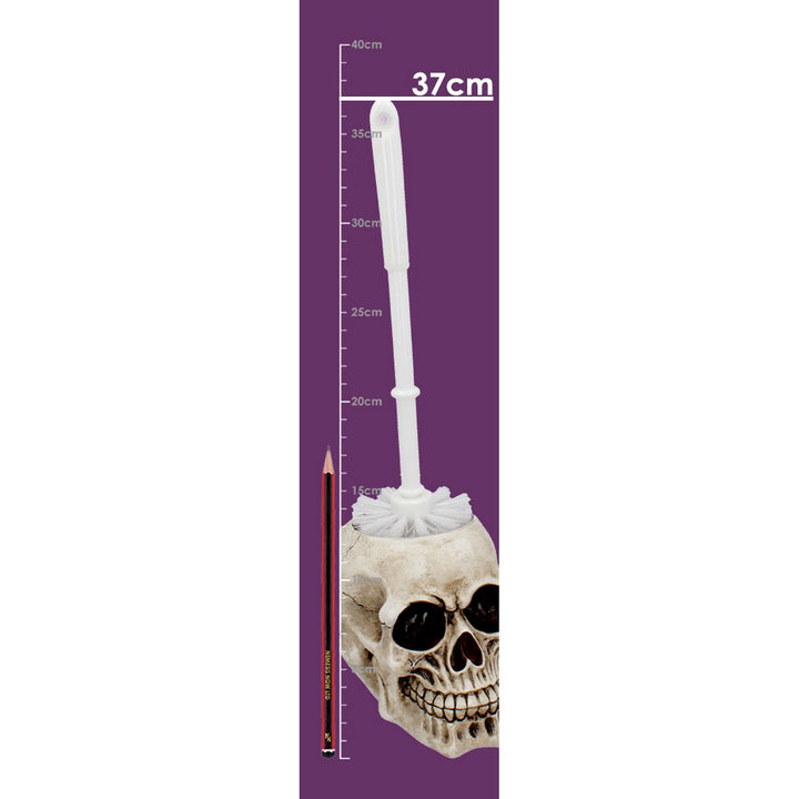 Brush with Death  Skull Toilet Brush Holder 16.4cm U4208M8