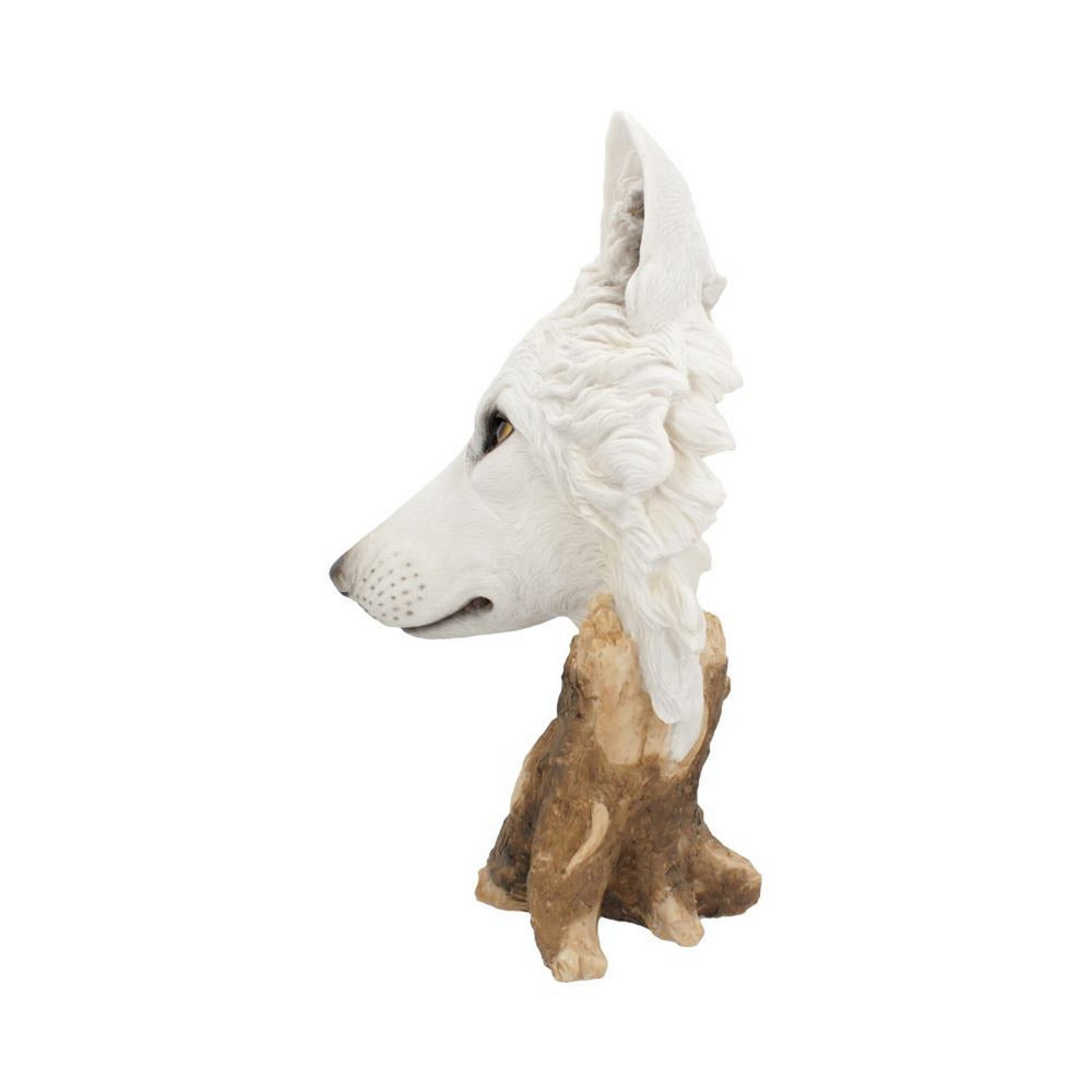 Wild Winter White Wolf Bust 27.5cm U4538N9