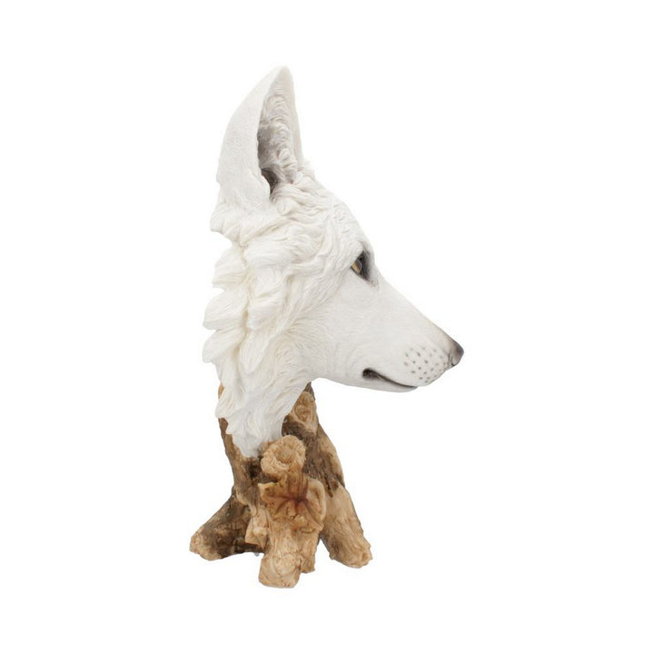 Wild Winter White Wolf Bust 27.5cm U4538N9