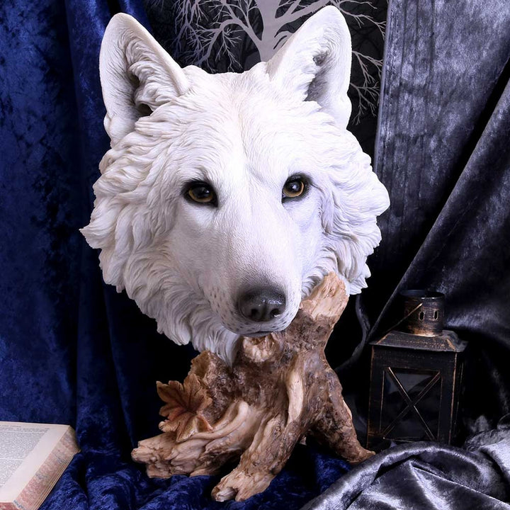 Wild Winter White Wolf Bust 27.5cm U4538N9
