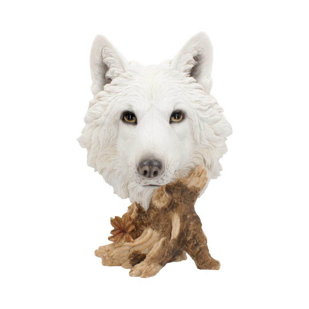 Wild Winter White Wolf Bust 27.5cm U4538N9