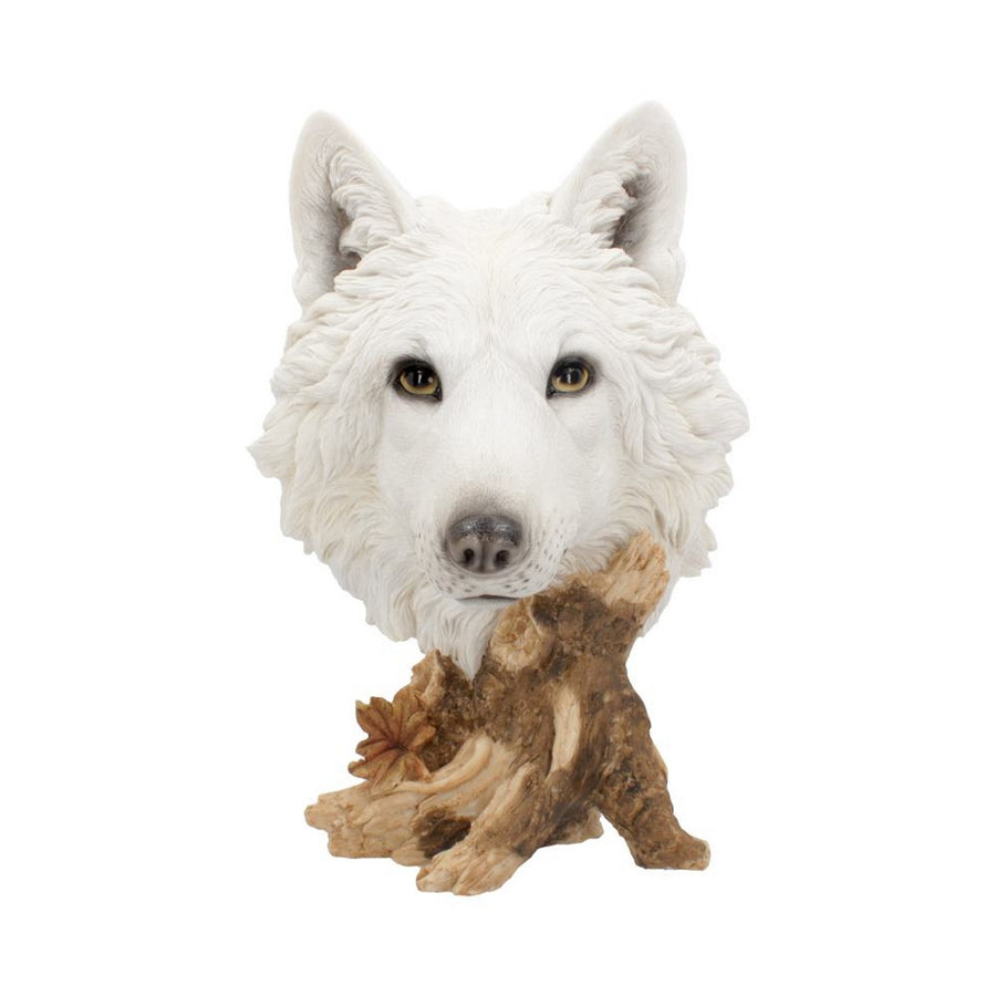 Wild Winter White Wolf Bust 27.5cm U4538N9