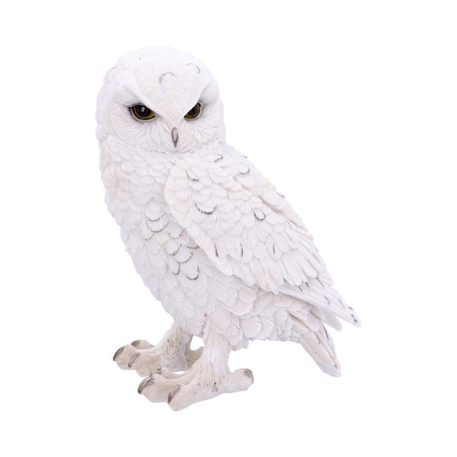 Snowy Watch Large White Owl Ornament U4772P9