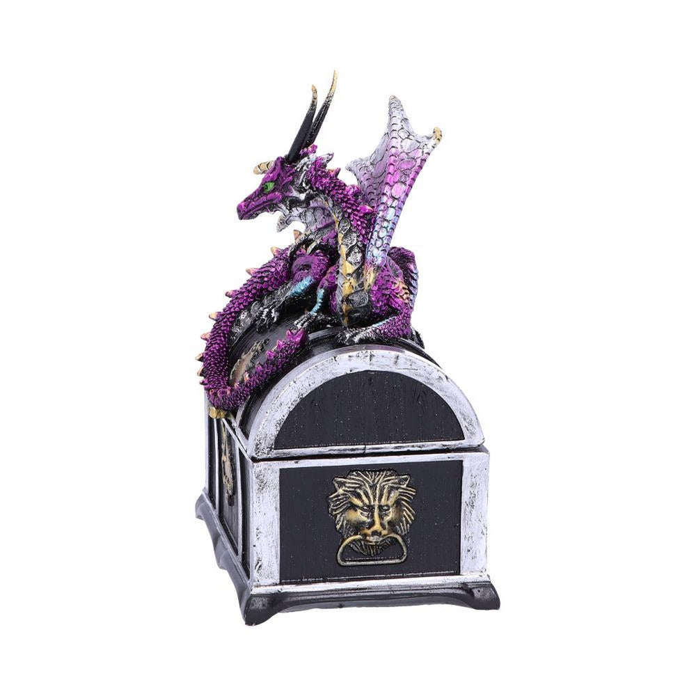 Reptilian Riches Dragon Sitting on a Treasure Chest Storage Box U4800P9