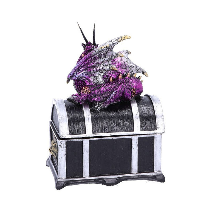 Reptilian Riches Dragon Sitting on a Treasure Chest Storage Box U4800P9