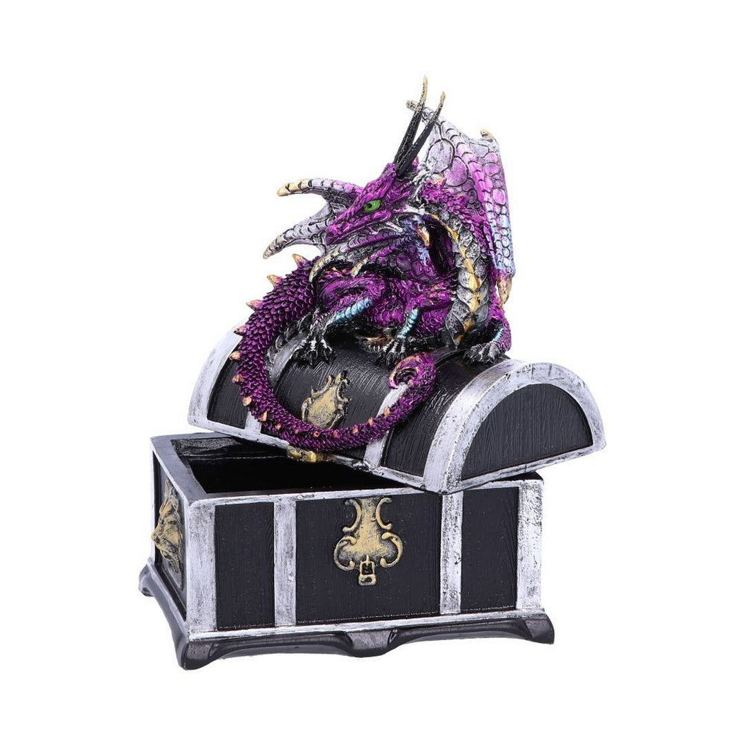 Reptilian Riches Dragon Sitting on a Treasure Chest Storage Box U4800P9